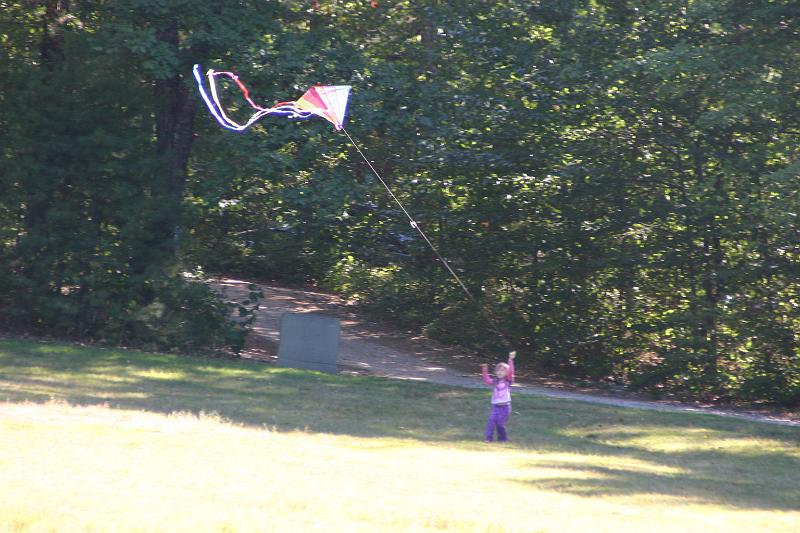Picture 3778.jpg